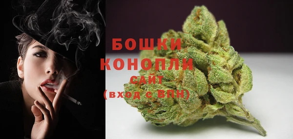 ГАЛЛЮЦИНОГЕННЫЕ ГРИБЫ Осташков