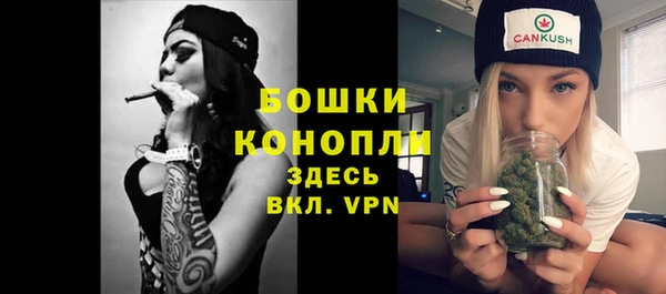 прущие грибы Остров