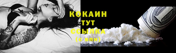 прущие грибы Остров