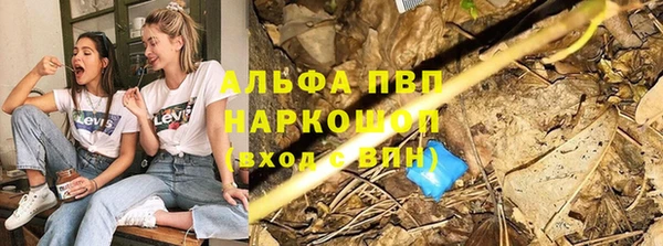 ГАЛЛЮЦИНОГЕННЫЕ ГРИБЫ Осташков