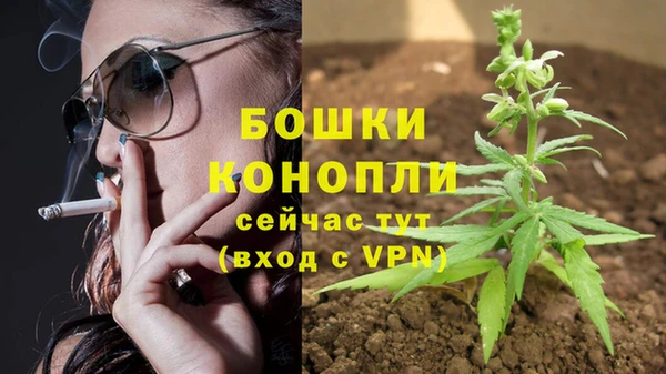 ГАЛЛЮЦИНОГЕННЫЕ ГРИБЫ Осташков