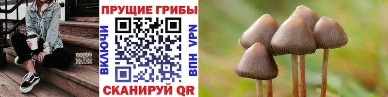 как найти закладки  Туймазы  Галлюциногенные грибы мицелий 