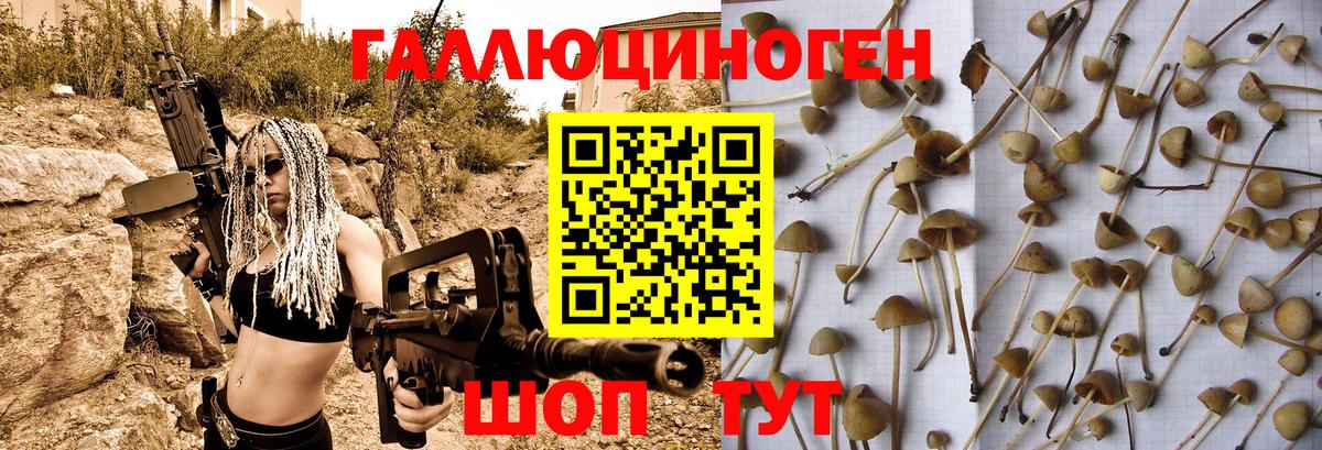 Галлюциногенные грибы Magic Shrooms Туймазы