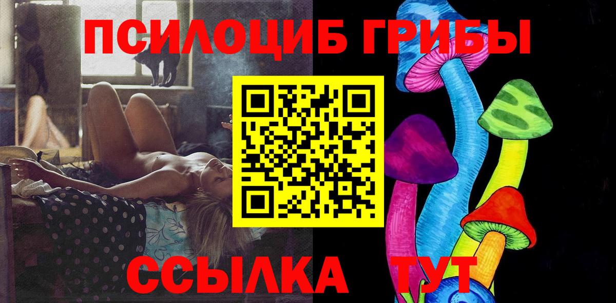 Галлюциногенные грибы GOLDEN TEACHER  как найти закладки  Туймазы 