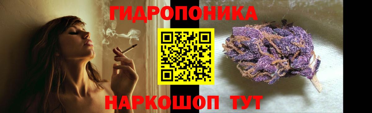 Каннабис OG Kush Туймазы
